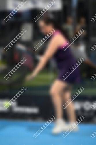 Foto del torneo