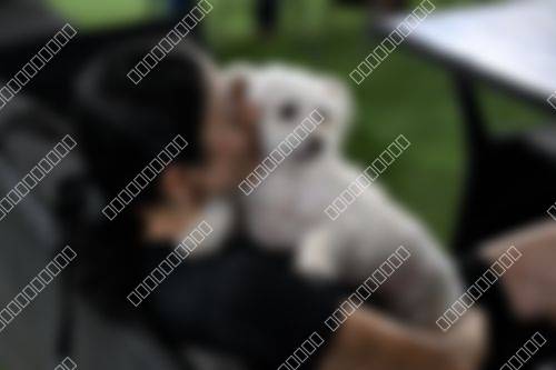 Foto del torneo
