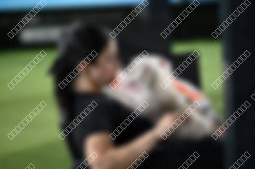 Foto del torneo