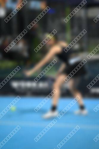 Foto del torneo