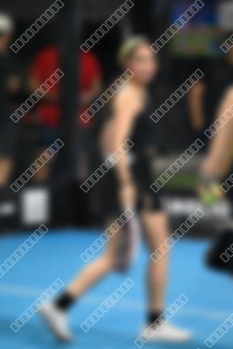 Foto del torneo