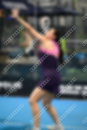 Foto del torneo