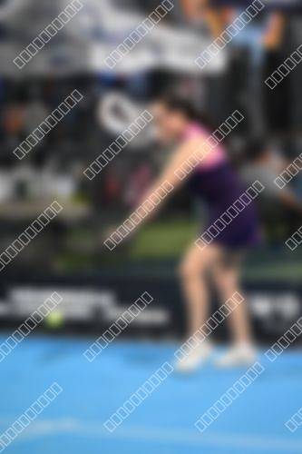 Foto del torneo