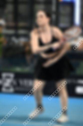 Foto del torneo