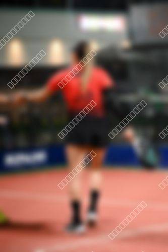 Foto del torneo