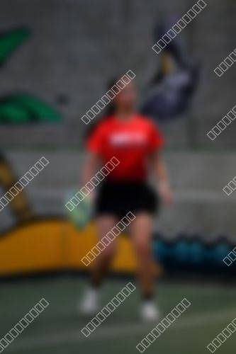 Foto del torneo