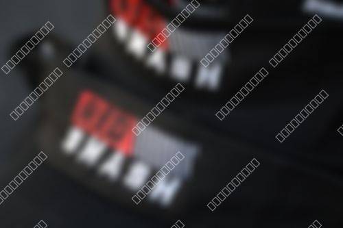 Foto del torneo