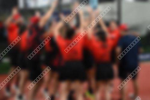 Foto del torneo