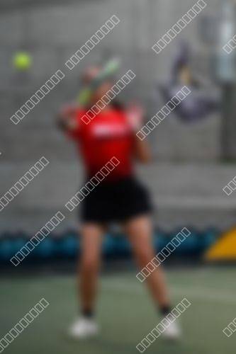 Foto del torneo