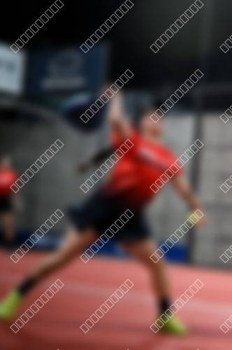 Foto del torneo