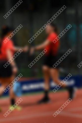 Foto del torneo