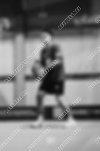 Foto del torneo
