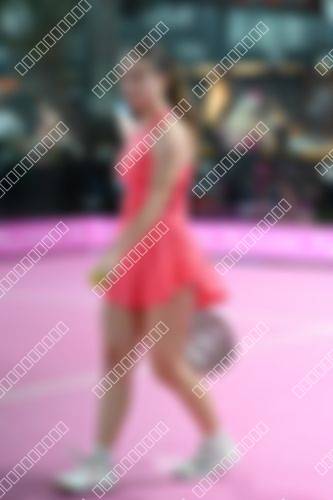 Foto del torneo