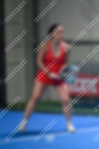 Foto del torneo