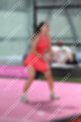 Foto del torneo