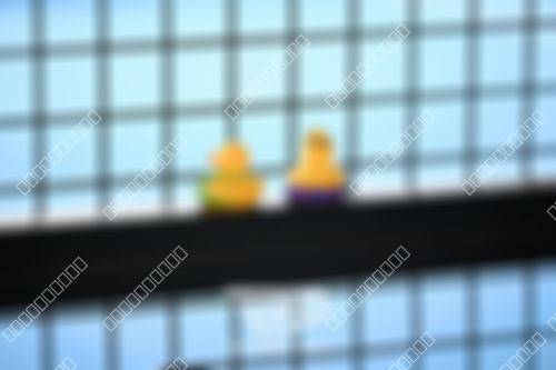 Foto del torneo