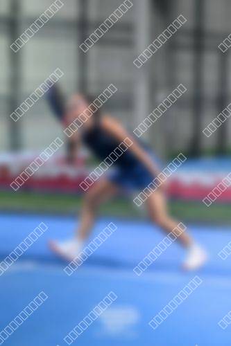 Foto del torneo