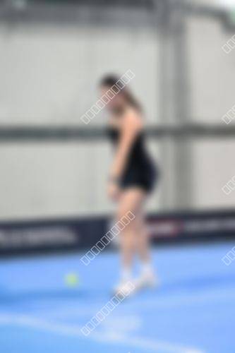 Foto del torneo