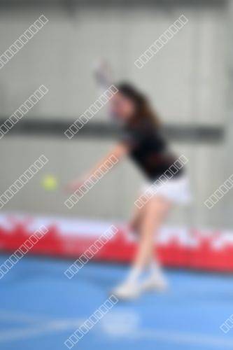 Foto del torneo