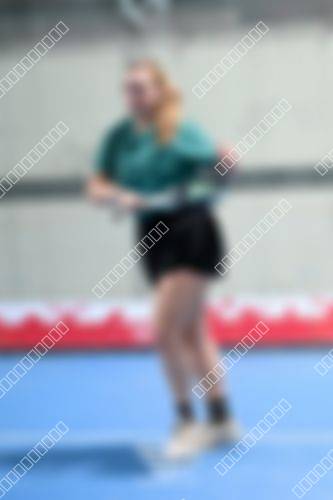 Foto del torneo