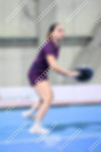 Foto del torneo