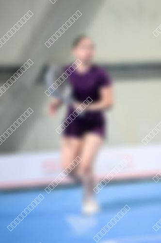 Foto del torneo
