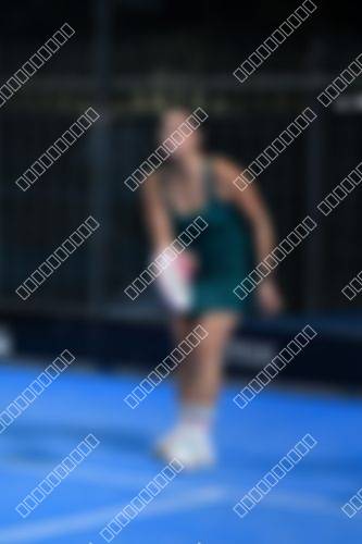 Foto del torneo