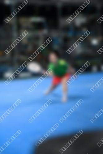 Foto del torneo