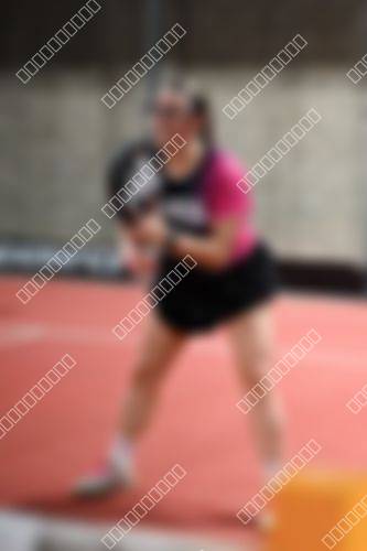Foto del torneo