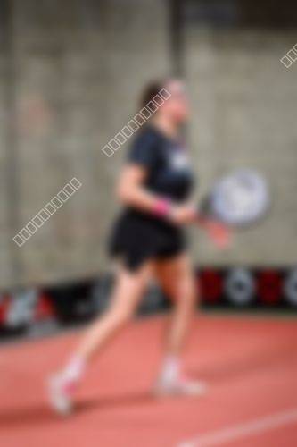 Foto del torneo