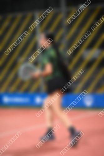 Foto del torneo