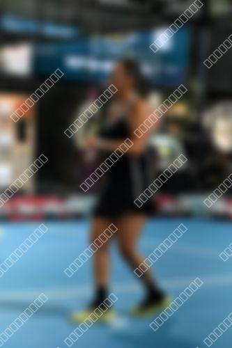 Foto del torneo