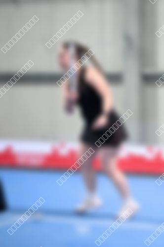 Foto del torneo