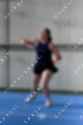 Foto del torneo