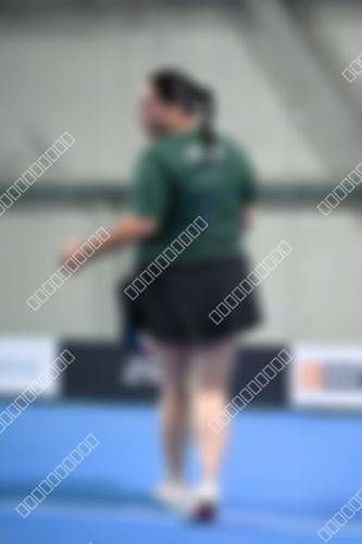 Foto del torneo