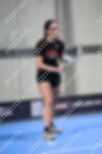 Foto del torneo